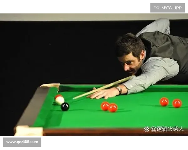 2017英锦赛赛事、2007年英锦赛半决赛