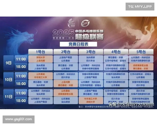 乒乓球重点赛事分析,乒乓球重点赛事全景扫描2023世锦赛辉煌与2024奥运争霸前瞻