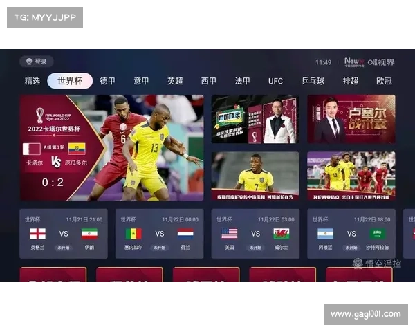 卡塔尔赛事安排;卡塔尔二零二四年国际赛事安排全景指南助力完美观赛旅程规划